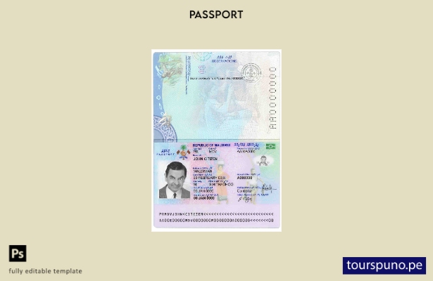 Plantilla de pasaporte de Maldivas lista para imprimir